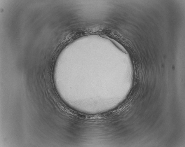 X0000069381393200606091639