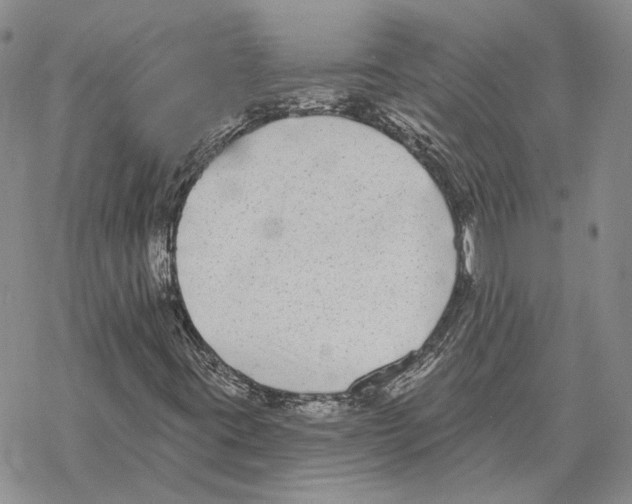 X0000069381395200606091639