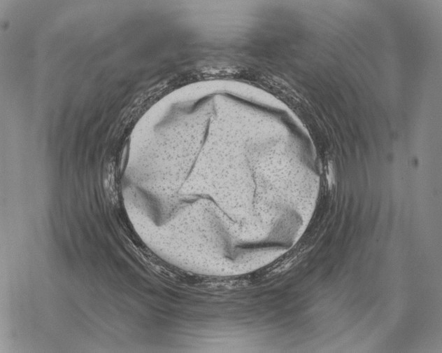 X0000069381396200606091639