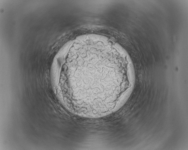 X0000069381397200606091639