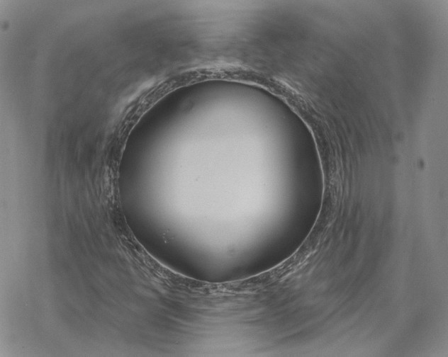 X0000069381398200606091639