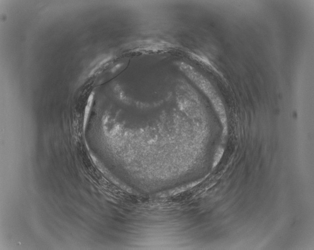 X0000069381399200606091639