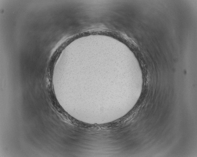 X0000069381400200606091639