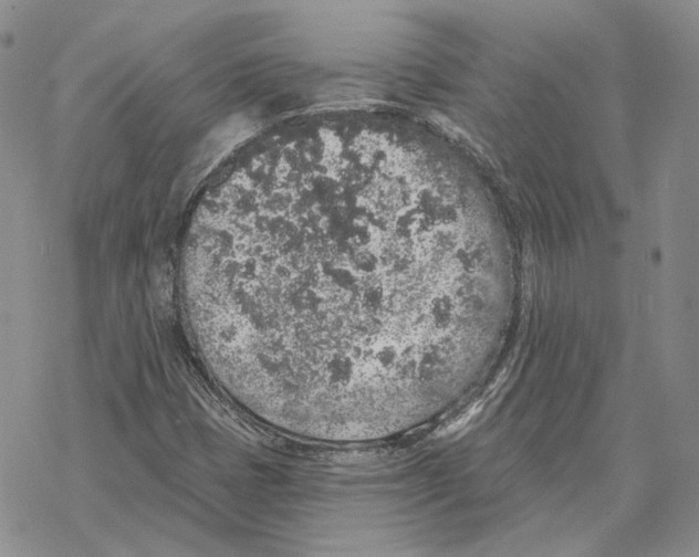 X0000069381401200606091639