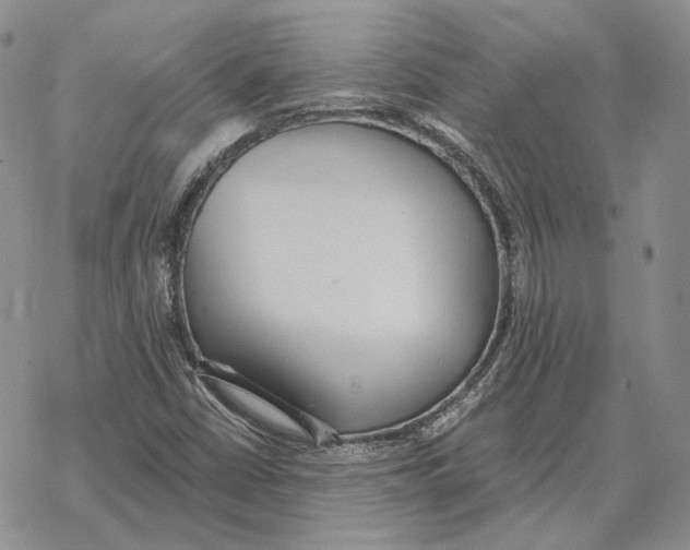 X0000069381402200606091639