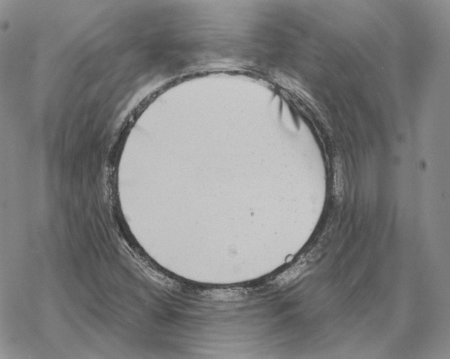 X0000069381404200606091639