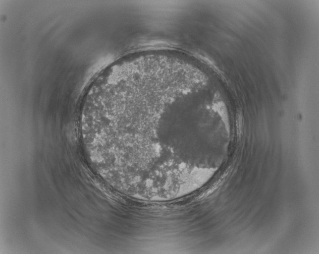 X0000069381405200606091639