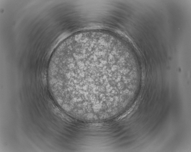 X0000069381409200606091639