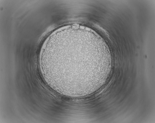 X0000069381411200606091639