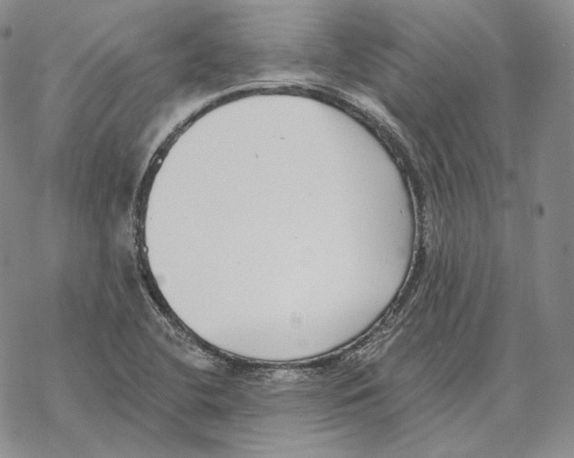 X0000069381412200606091639