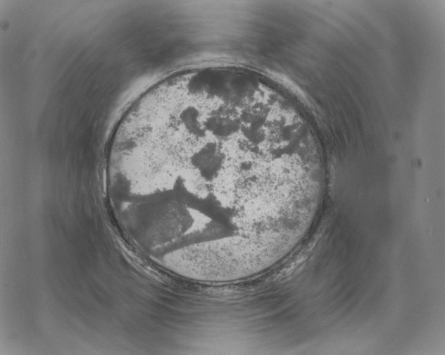 X0000069381413200606091639