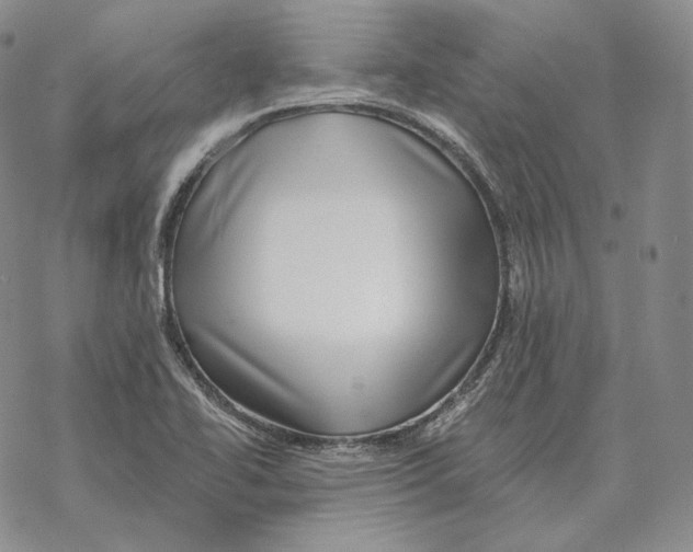 X0000069381414200606091639