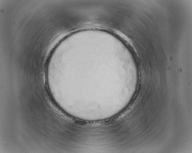 X0000069381415200606091639