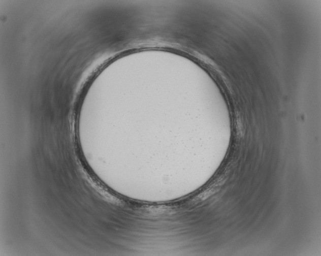 X0000069381416200606091639