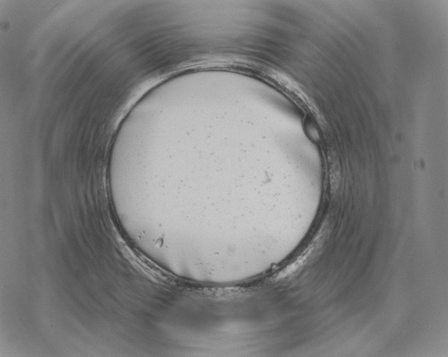 X0000069381417200606091639