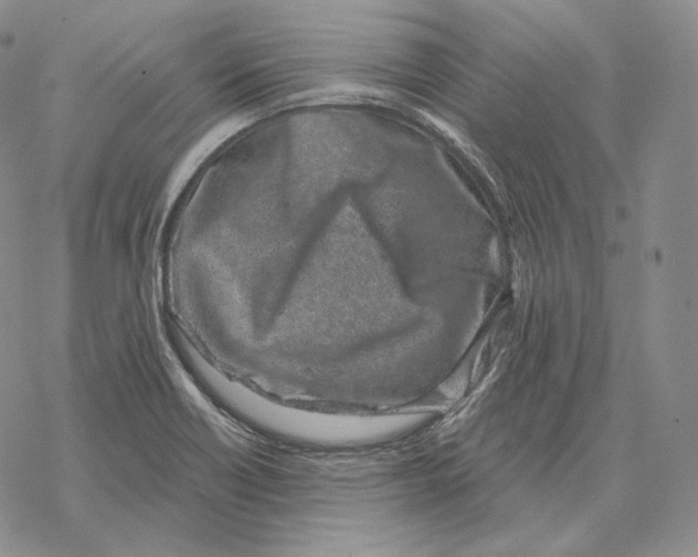 X0000069381418200606091640