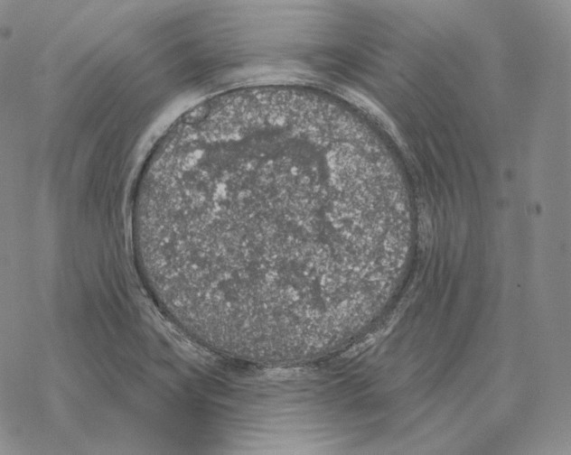 X0000069381419200606091640