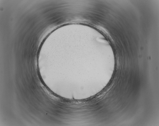 X0000069381420200606091640