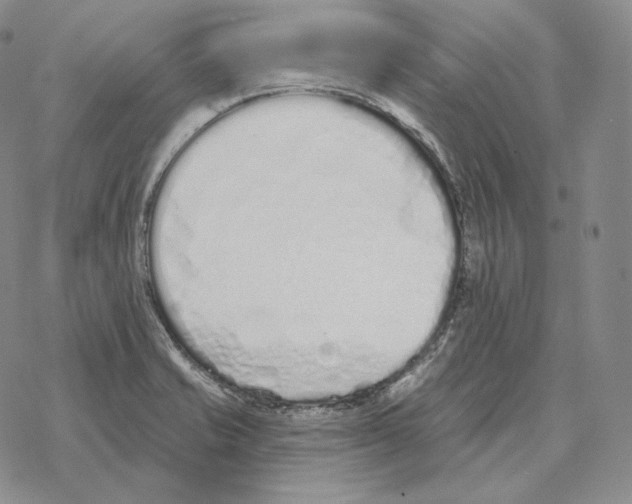 X0000069381421200606091640