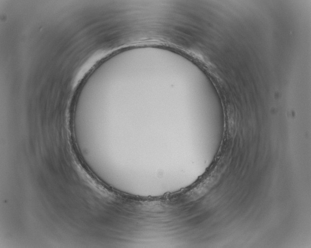 X0000069381422200606091640