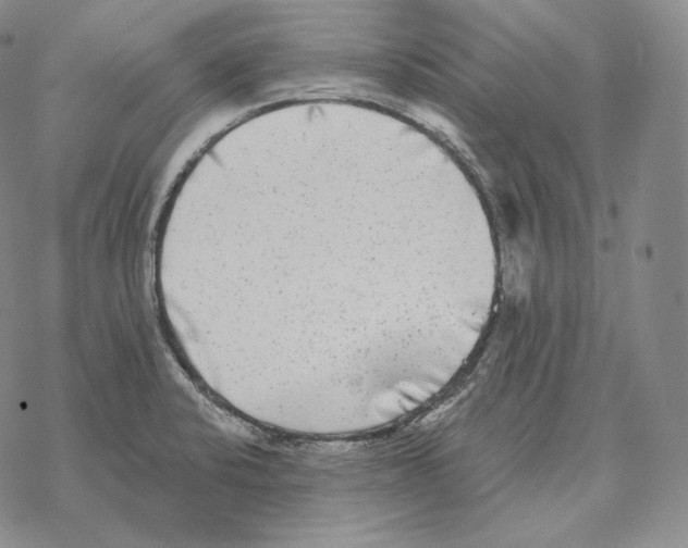 X0000069381424200606091640