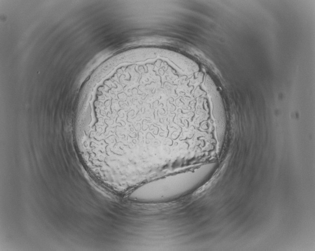 X0000069381425200606091640