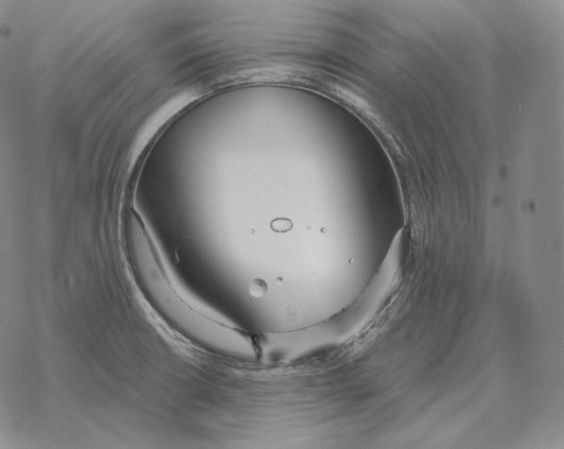 X0000069381426200606091640