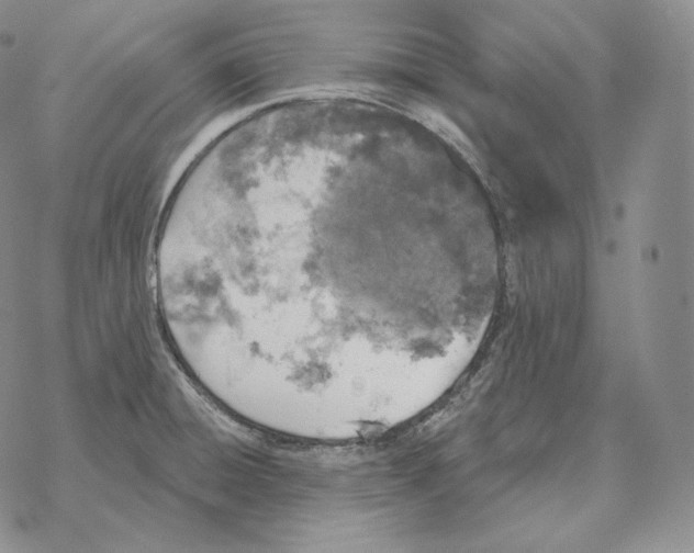 X0000069381428200606091640