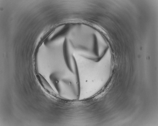 X0000069381430200606091640