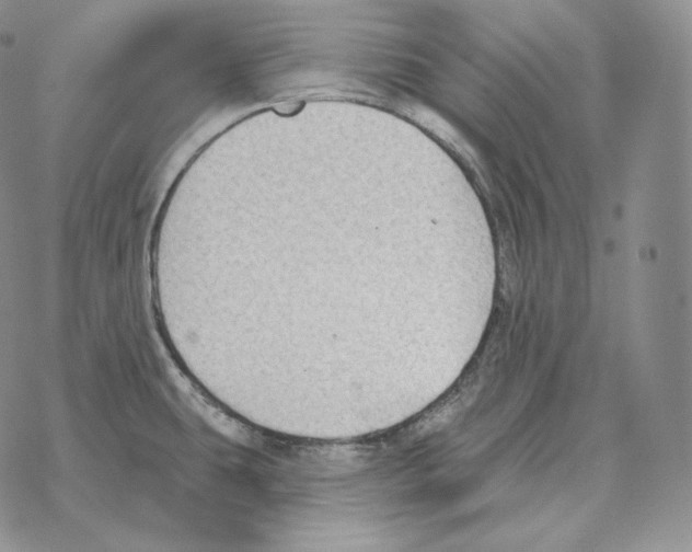 X0000069381431200606091640