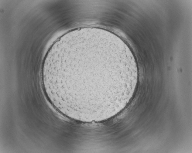 X0000069381432200606091640