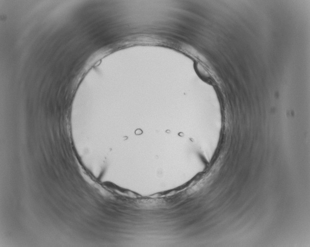 X0000069381433200606091640