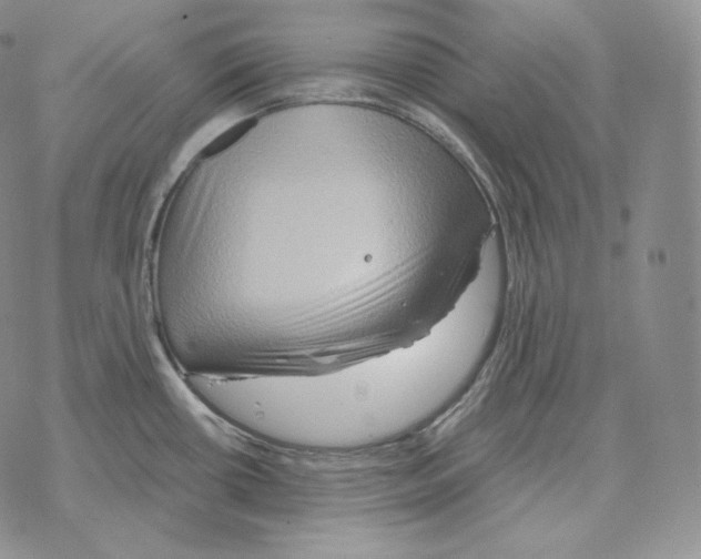 X0000069381434200606091640