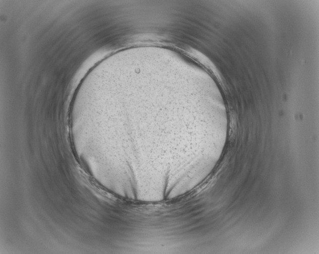 X0000069381435200606091640