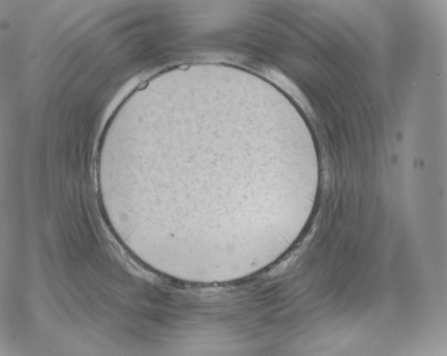 X0000069381436200606091640