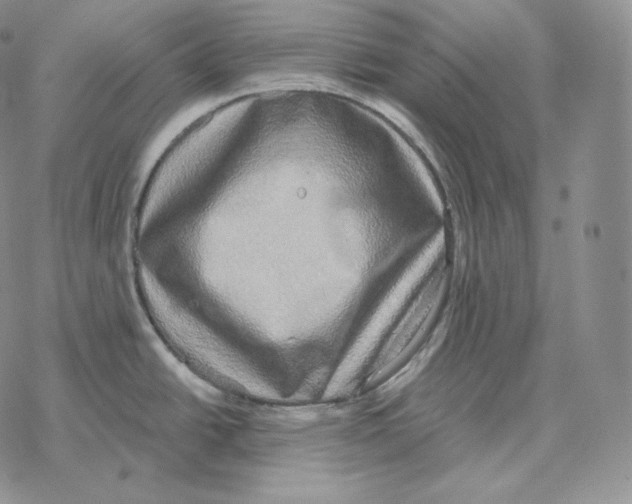 X0000069381438200606091640