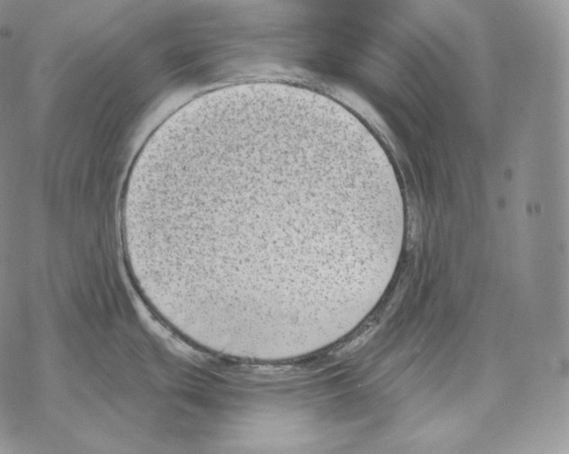 X0000069381439200606091640