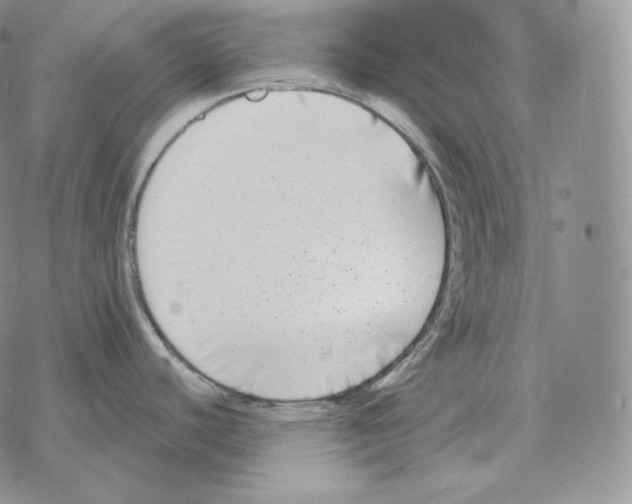 X0000069381440200606091640