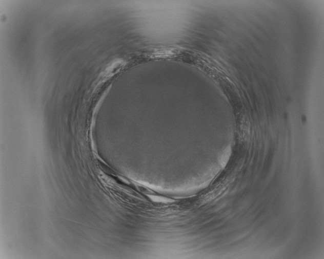 X0000069381441200606091639