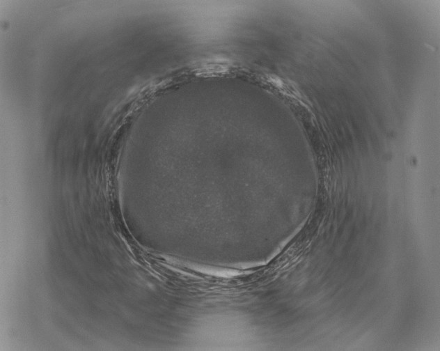 X0000069381445200606091639