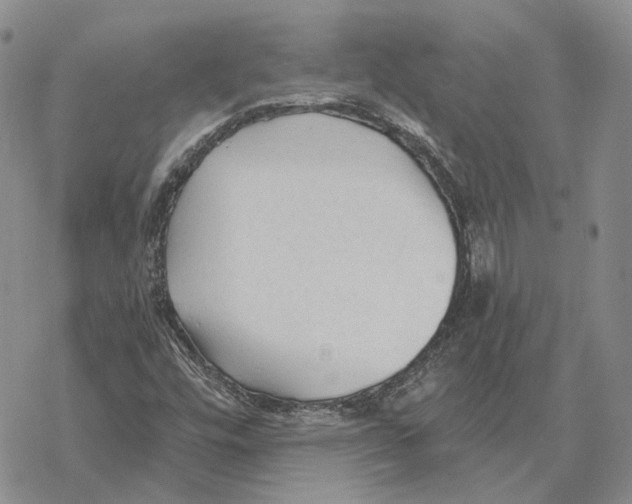 X0000069381448200606091639