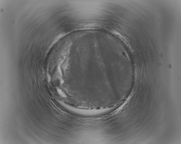 X0000069381449200606091639