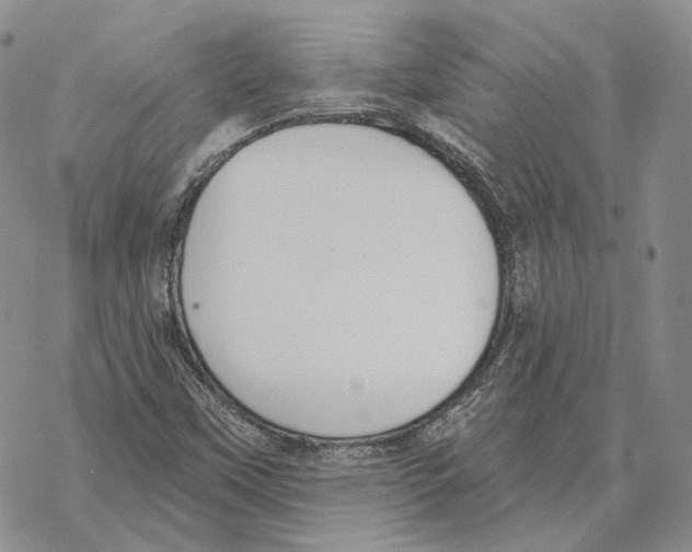 X0000069381451200606091639