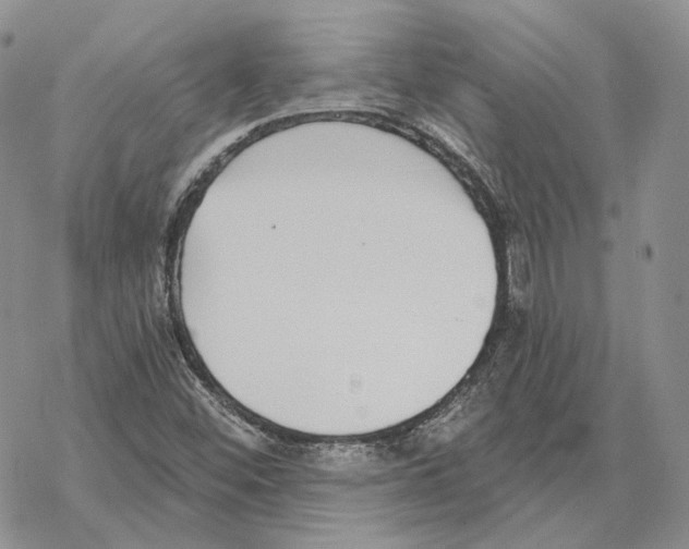 X0000069381452200606091639