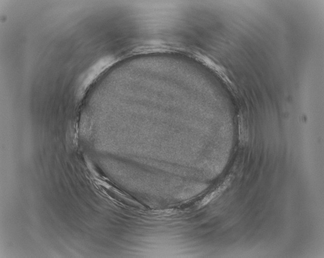 X0000069381453200606091639