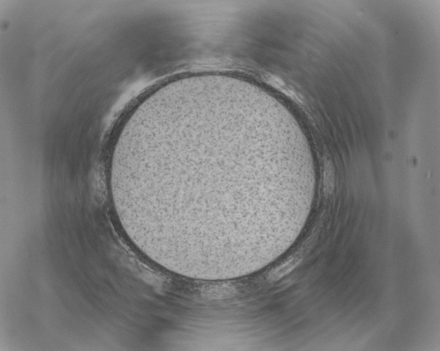 X0000069381454200606091639