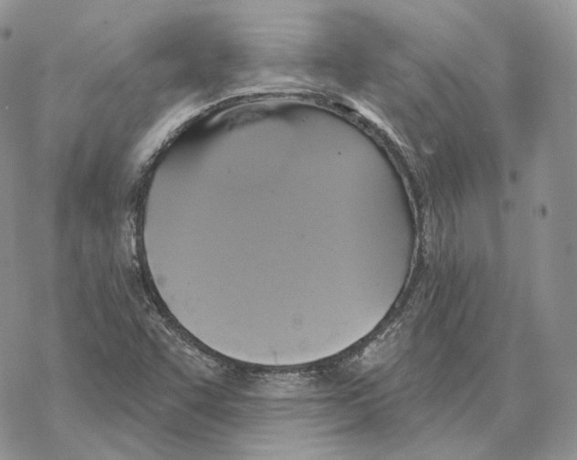 X0000069381455200606091639