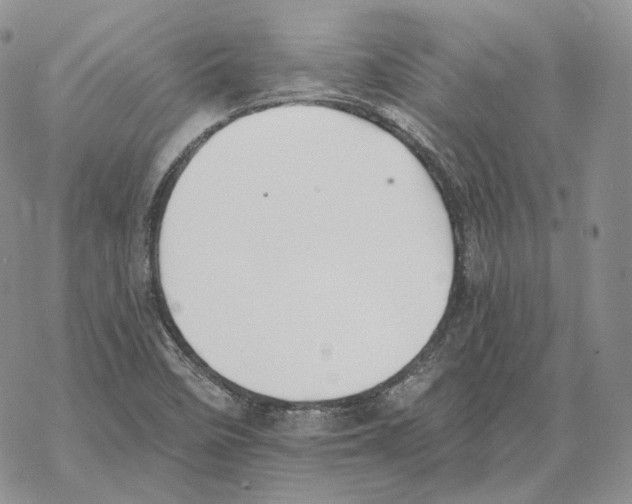 X0000069381458200606091639