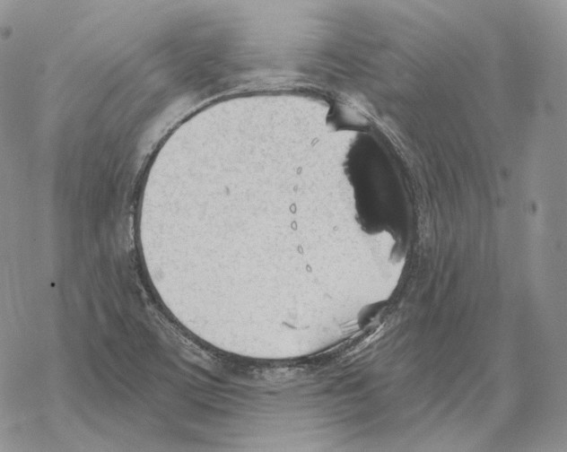 X0000069381459200606091639