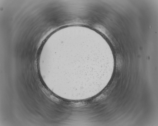 X0000069381460200606091639